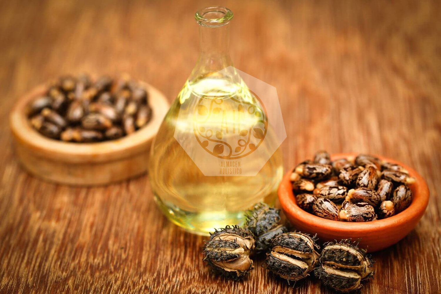 Aceite de Ricino – Propiedades y Usos