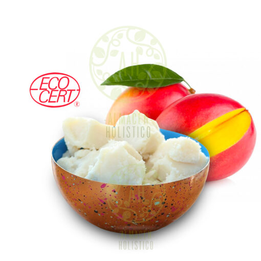 Manteca de Mango Natural Ecocert x 100grs